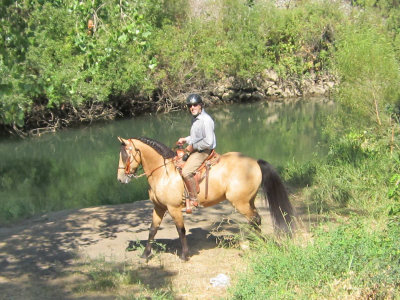 yranch 020.JPG