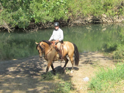 yranch 031.JPG