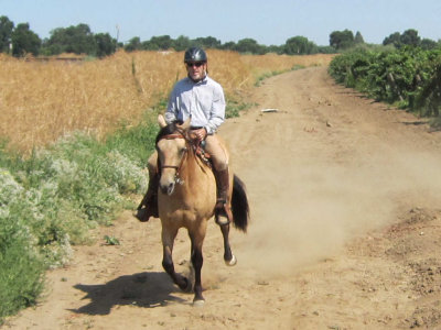 yranch 060.JPG