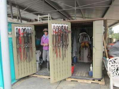 shed 003.jpg