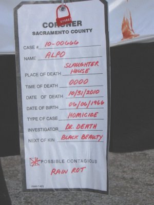 Bubba's tag.jpg