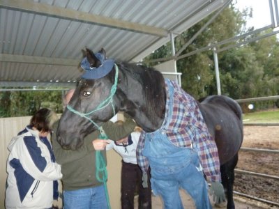 halloween 006.jpg