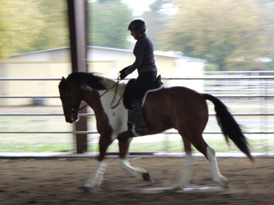 g1/79/201179/3/130624876.T3ofhvh4.jpg