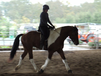 g1/79/201179/3/130624881.H83ydPt1.jpg