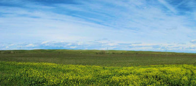 landscape.jpg