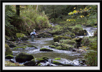 Fly fishing