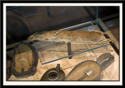 Some of the Ways Explosives were Disguised