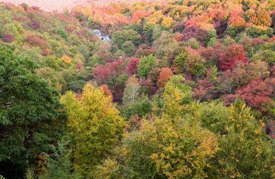 October 4 - Graveyard Fields & Black Balsam area