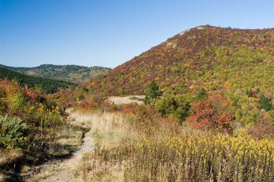 Sam Knob Summit Trail 1