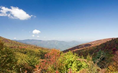 Sam Knob Summit Trail 2