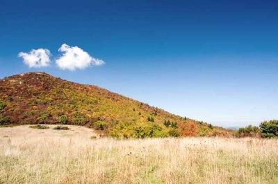 Sam Knob Summit Trail 4