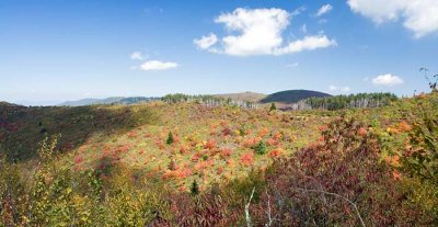 Ivestor Gap Trail 3