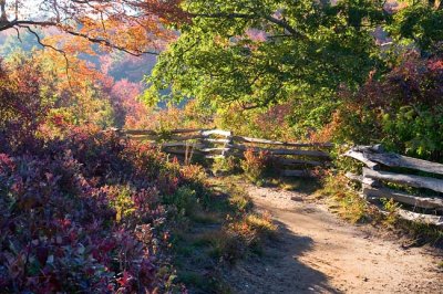 Graveyard Fields Trail 3