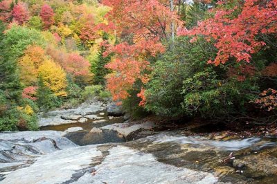 Bubbling Springs Branch Cascade 4