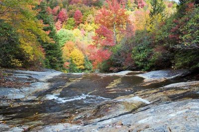 Bubbling Springs Branch Cascade 6