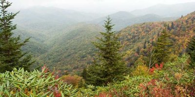 view from the Blue Ridge Parkway 1