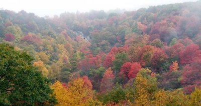 view from the Blue Ridge Parkway 6