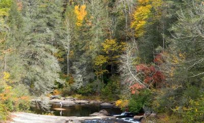 DuPont State Forest 6