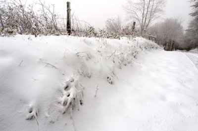 Max Patch Mountain 4