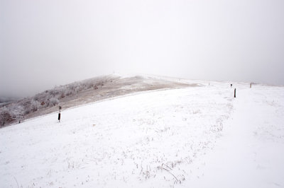 Max Patch Mountain 10