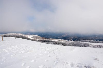 Max Patch Mountain 11