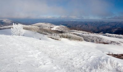 Max Patch Mountain 14