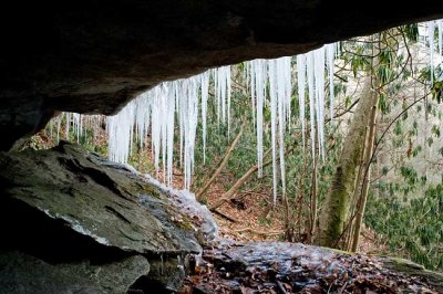 Icicles