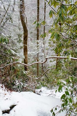 near Raven Rock Falls 2