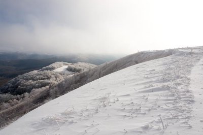 Max Patch Snow 8