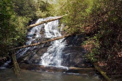 April 11 - Lohr's and Yellow Branch Falls, South Carolina