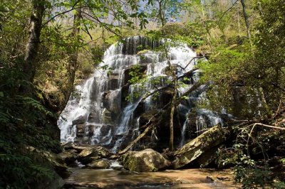 Yellow Branch Falls 1