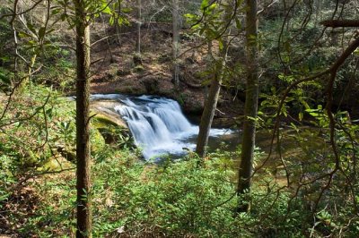 April 12 - Avery Creek and Twin Falls, Pisgah Forest