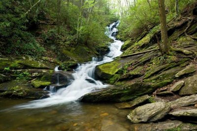 May 9 - Roaring Fork Falls, Setrock Creek Falls & Mt Mitchell