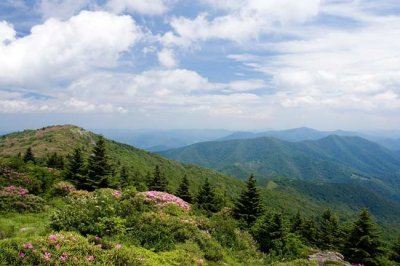 Roan Mountain 20