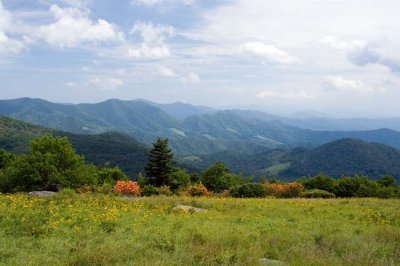 Roan Mountain 26