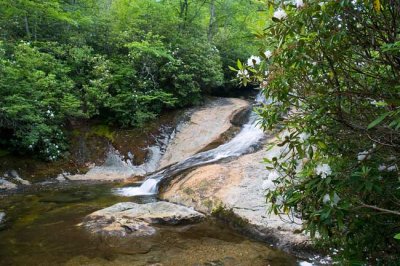 Bubbling Spring Branch Cascades 3