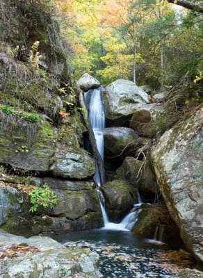 Pullium Creek Falls 1