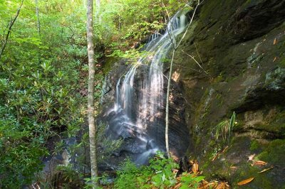 waterfall on Tanasee Creek trib 1