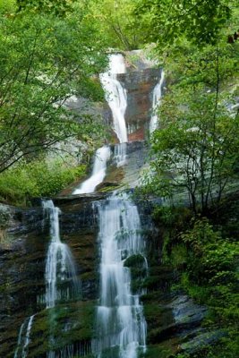 Toms Creek Falls 2