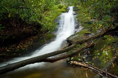 waterfall on Dryland Laurel Branch 2