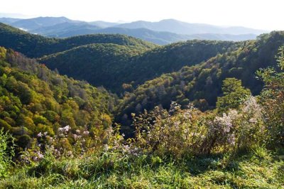 Looking for Early Fall Color 2