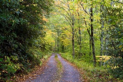 October 10 - Great Smoky Mountain National Park