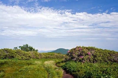 June 12 - Craggy Gardens and Mt Mitchell