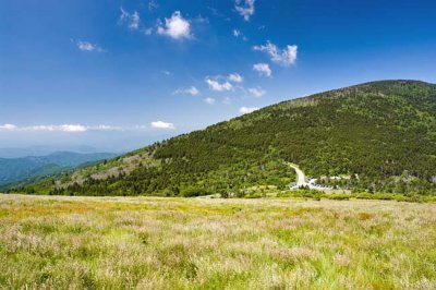 Roan Mountain 2