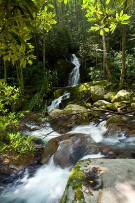 Mouse Creek Falls 4