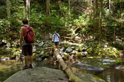 Big Creek - GSMNP 18