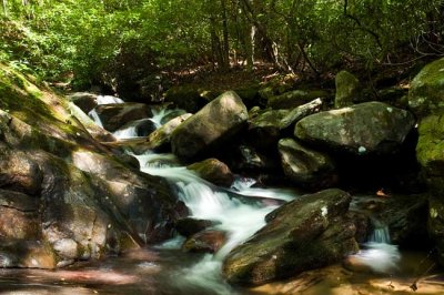 Bearwallow Creek - Nantahala NF 1