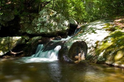 Bearwallow Creek - Nantahala NF 6