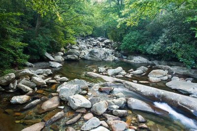 Chimney Tops Trail 4