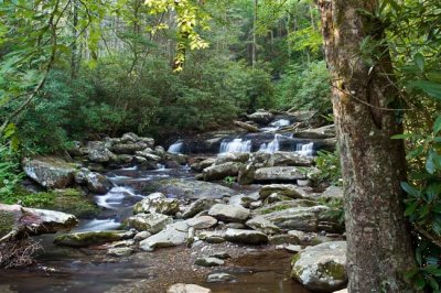 Chimney Tops Trail 5